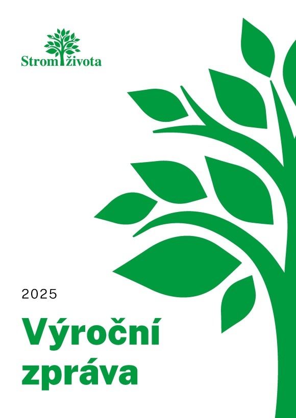 Výroční zpráva 2025